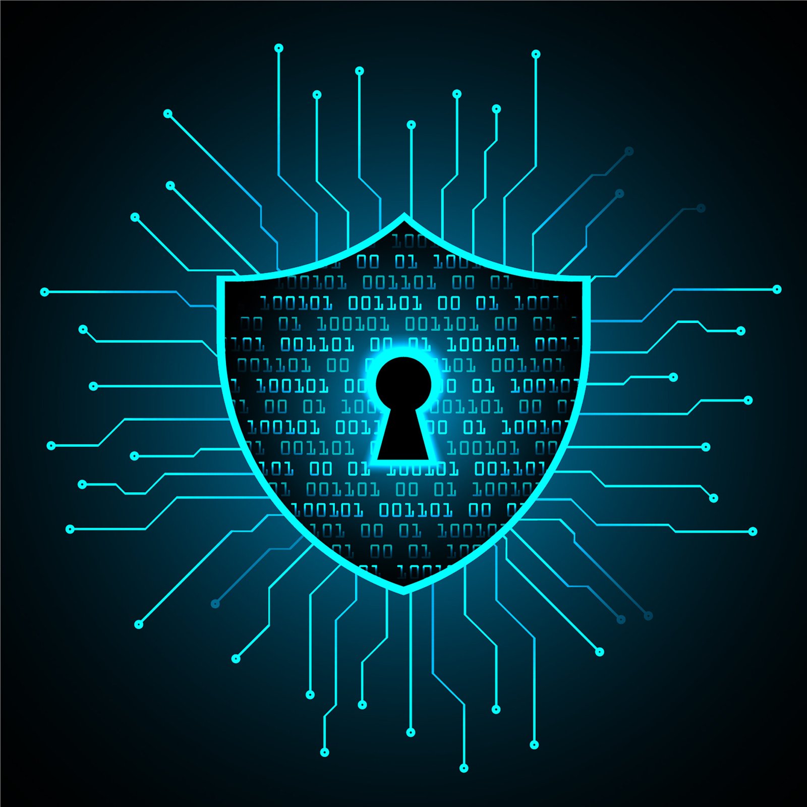 Third Party Risk Management Services: