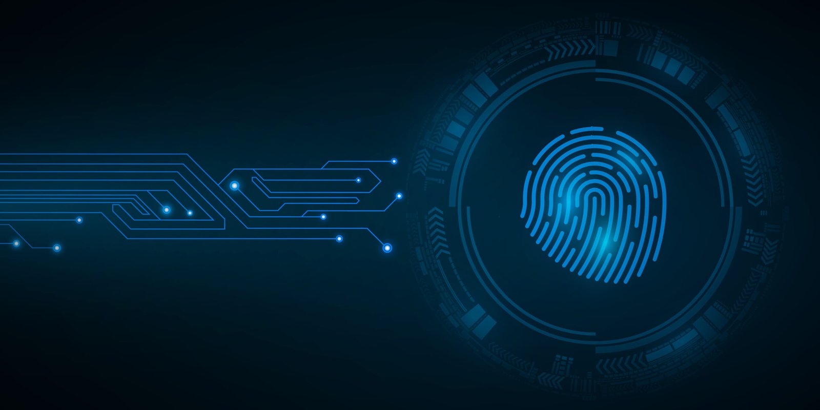 New Digital Fingerprints